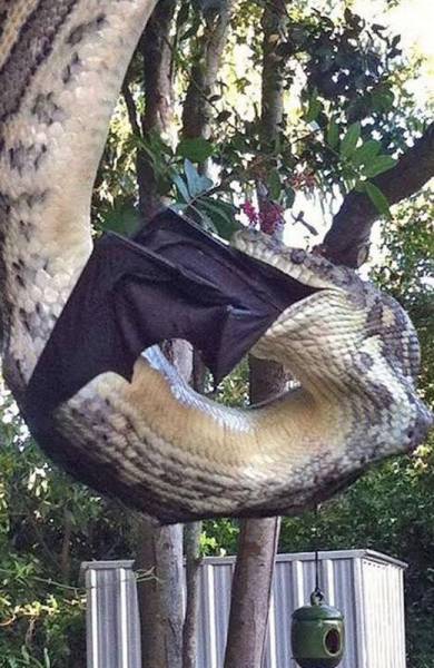 Nothing Much Happened Today 16