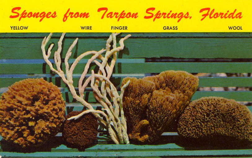 Sponges On A Bench