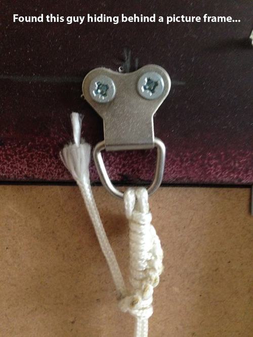 Monday Morning Picture Frame