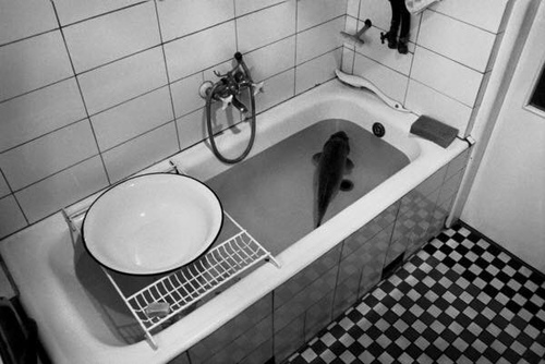 Nothing Much Happened Today 19