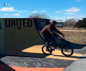 Awesome Dog Is Awesome