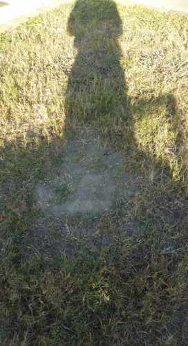 moxieroutes-document-204707