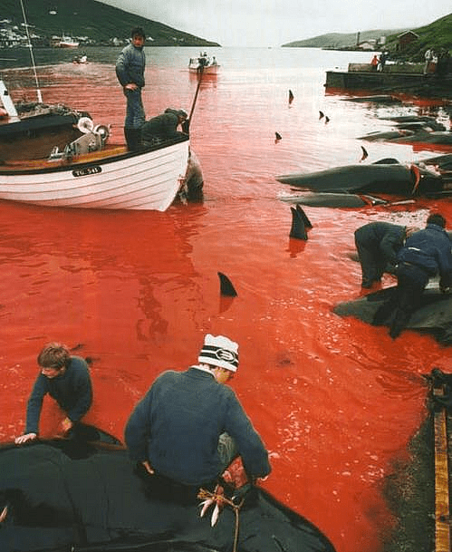 Nothing Much Happened Today 20