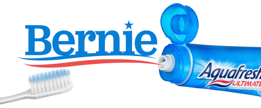 Bernie Logo