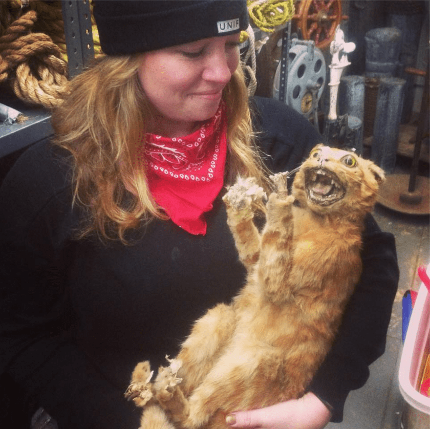 Crappy Taxidermy Cat Fail