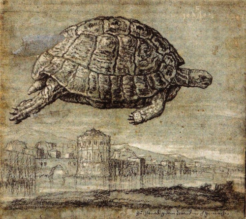 Tortoise above the Venetian Lagoon 1555 Melchior Lorck
