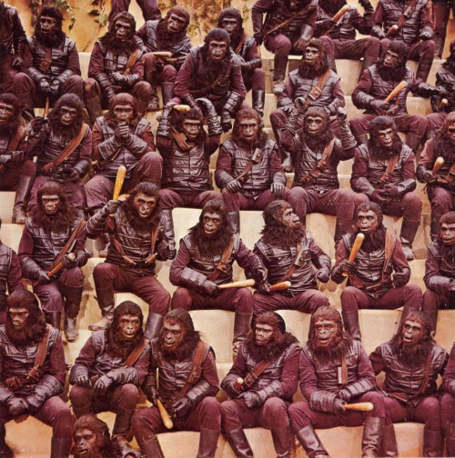 Planet Of The Apes Forum