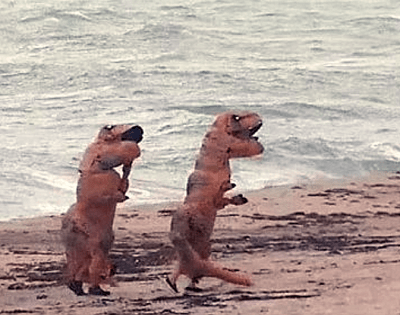 dinosaurs-frolic-on-florida-beach