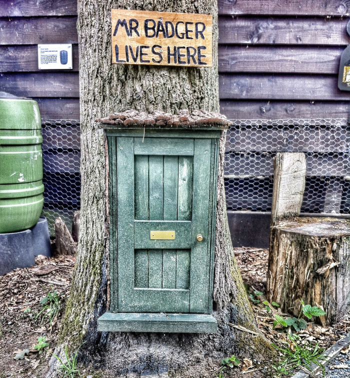 mr-badger-lives-here