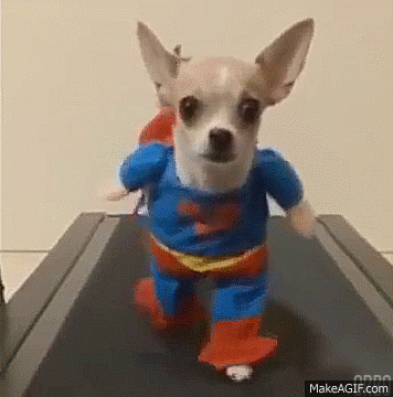 super-pup