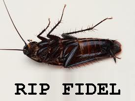 cockroach-fidel-castro