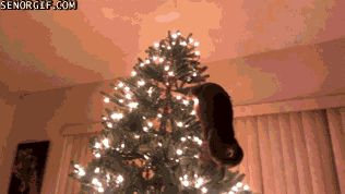 christmas-cat-destruction
