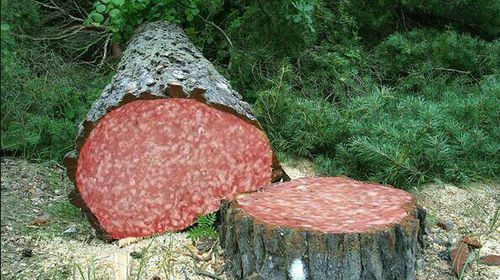 Where Salami Comes From. – Tacky Raccoons
