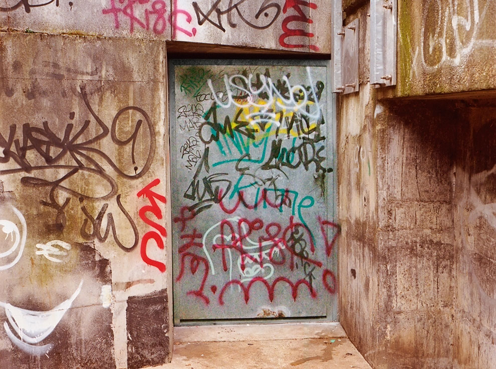 Graffiti Racoons Characters Legible Graffiti – Tacky Raccoons