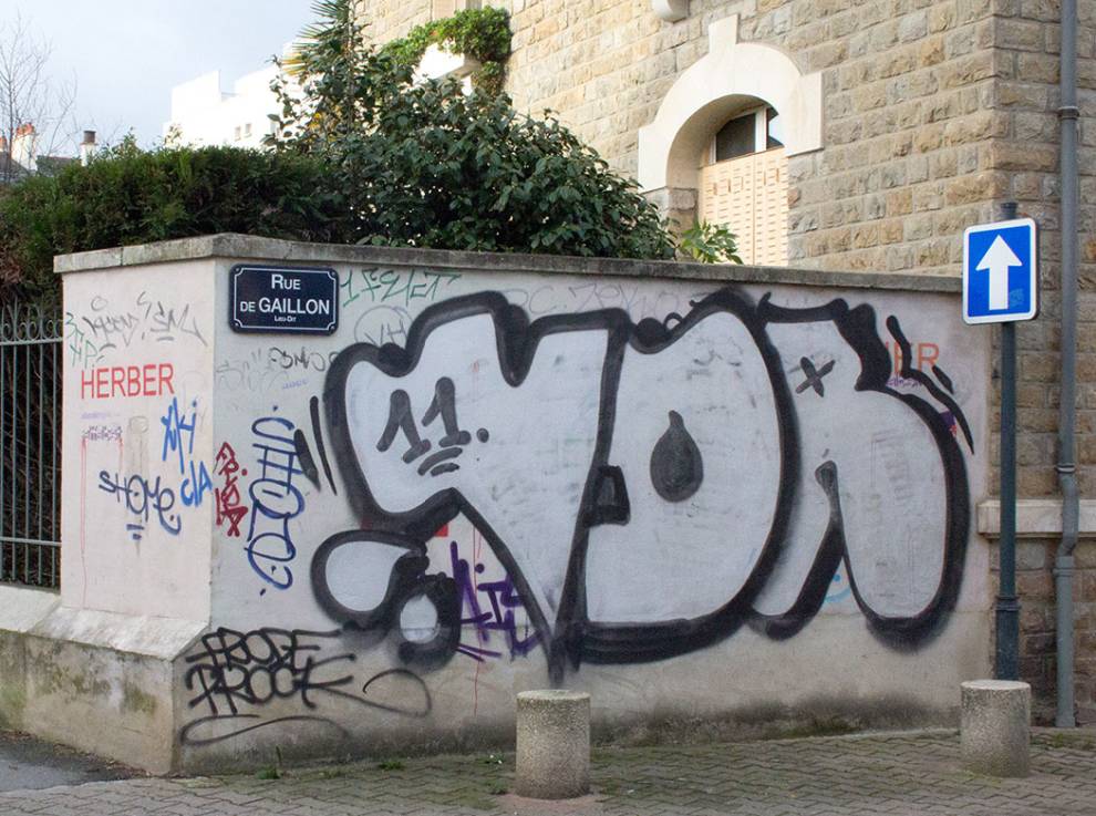 Graffiti Racoons Characters Legible Graffiti – Tacky Raccoons